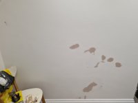 Paint peeling from plaster. Help?