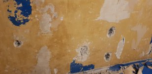 Limelite renovating plaster for ceiling?