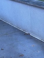 How to clean k-rendered wall?