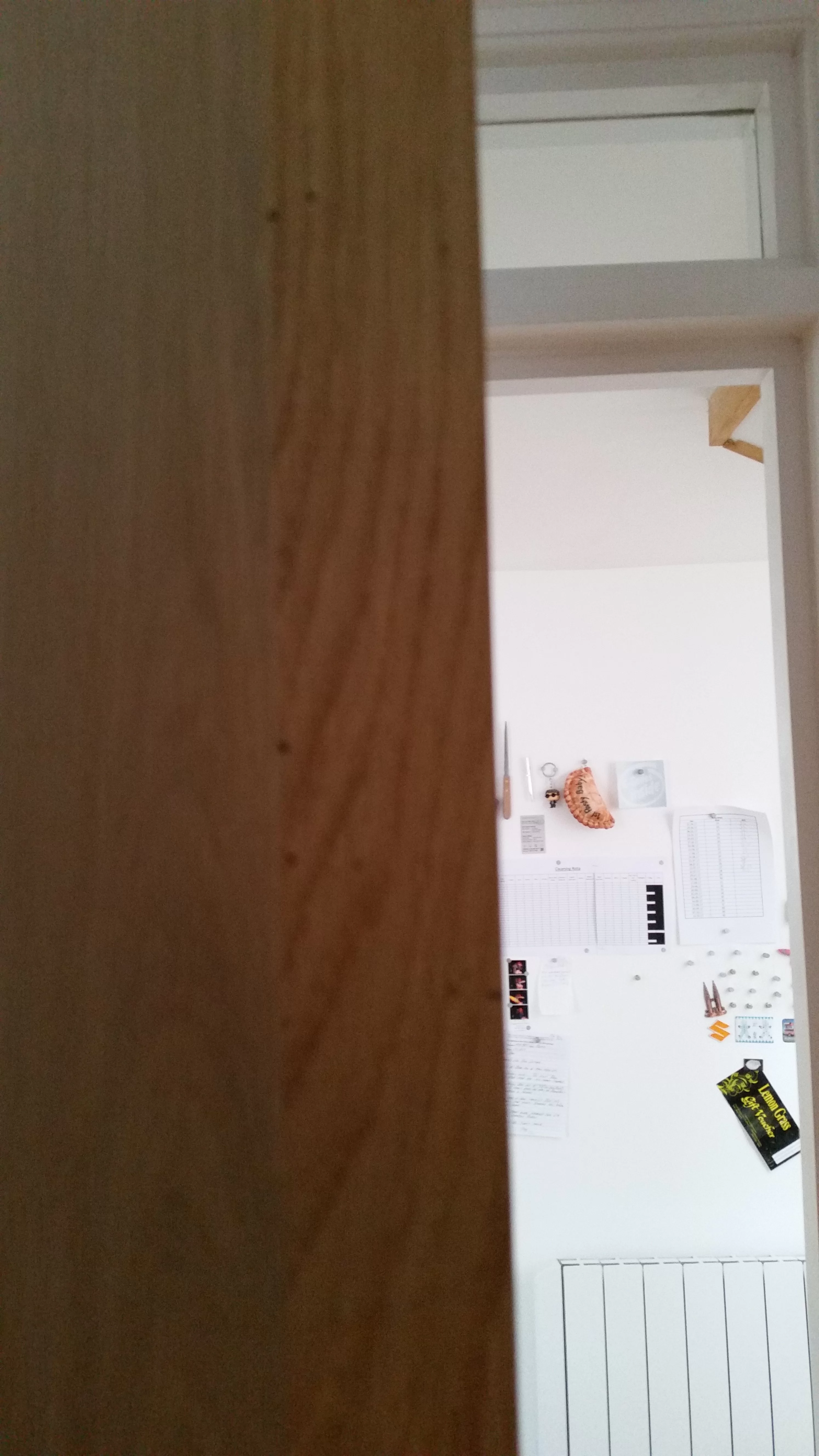 Wood Worm in Wickes Firedoors