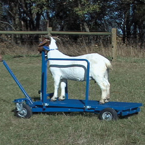 Electric winch