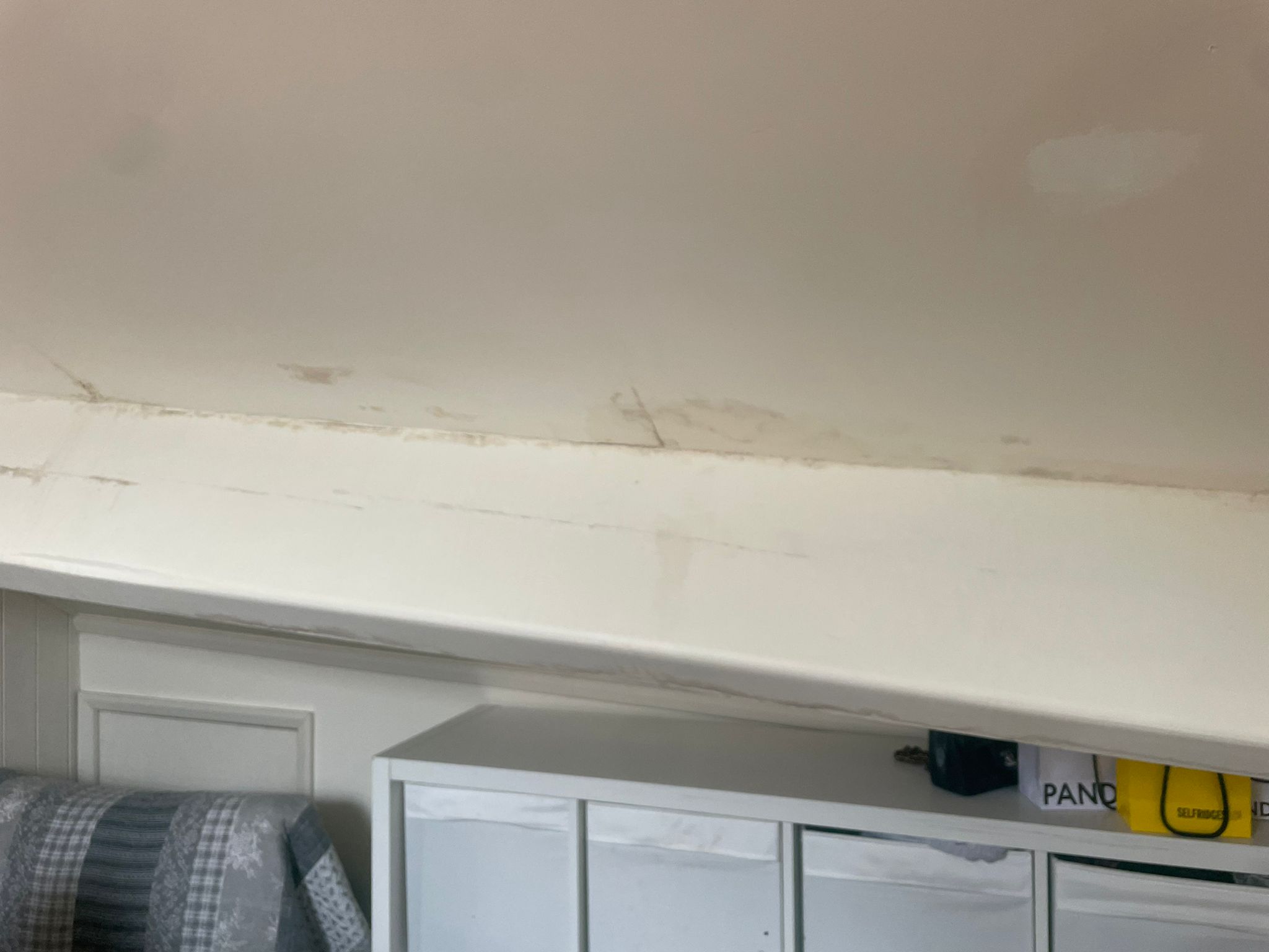 Help - Damp patches in plastering on loft conversion roof - 2nd opinion