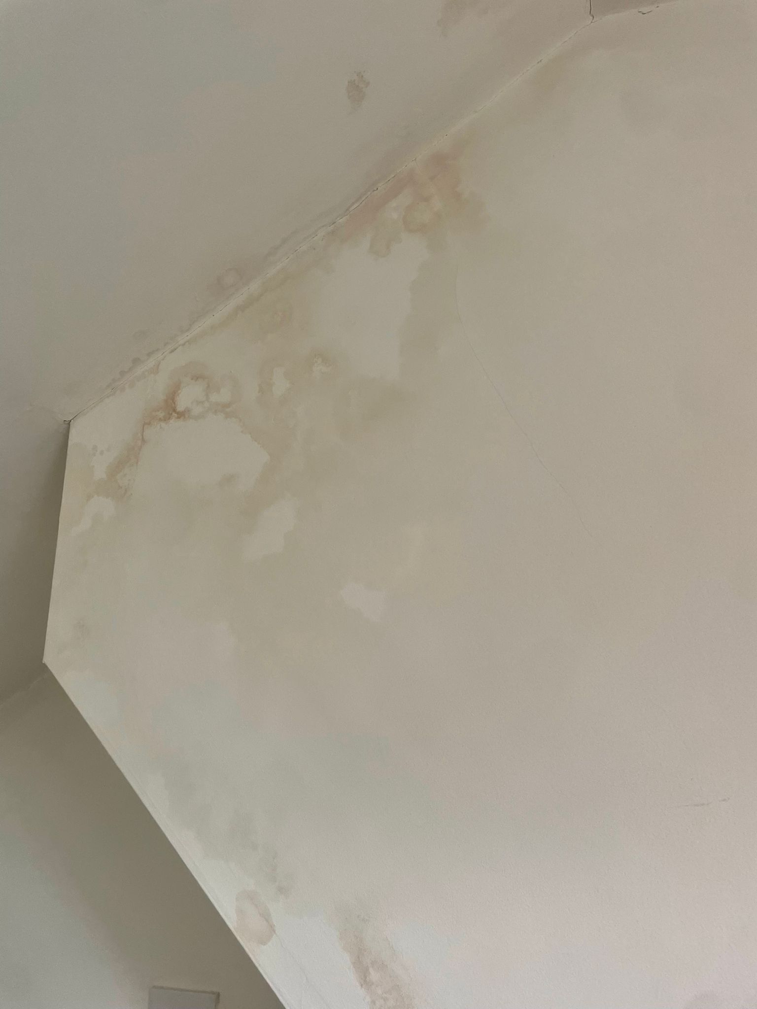 Help - Damp patches in plastering on loft conversion roof - 2nd opinion