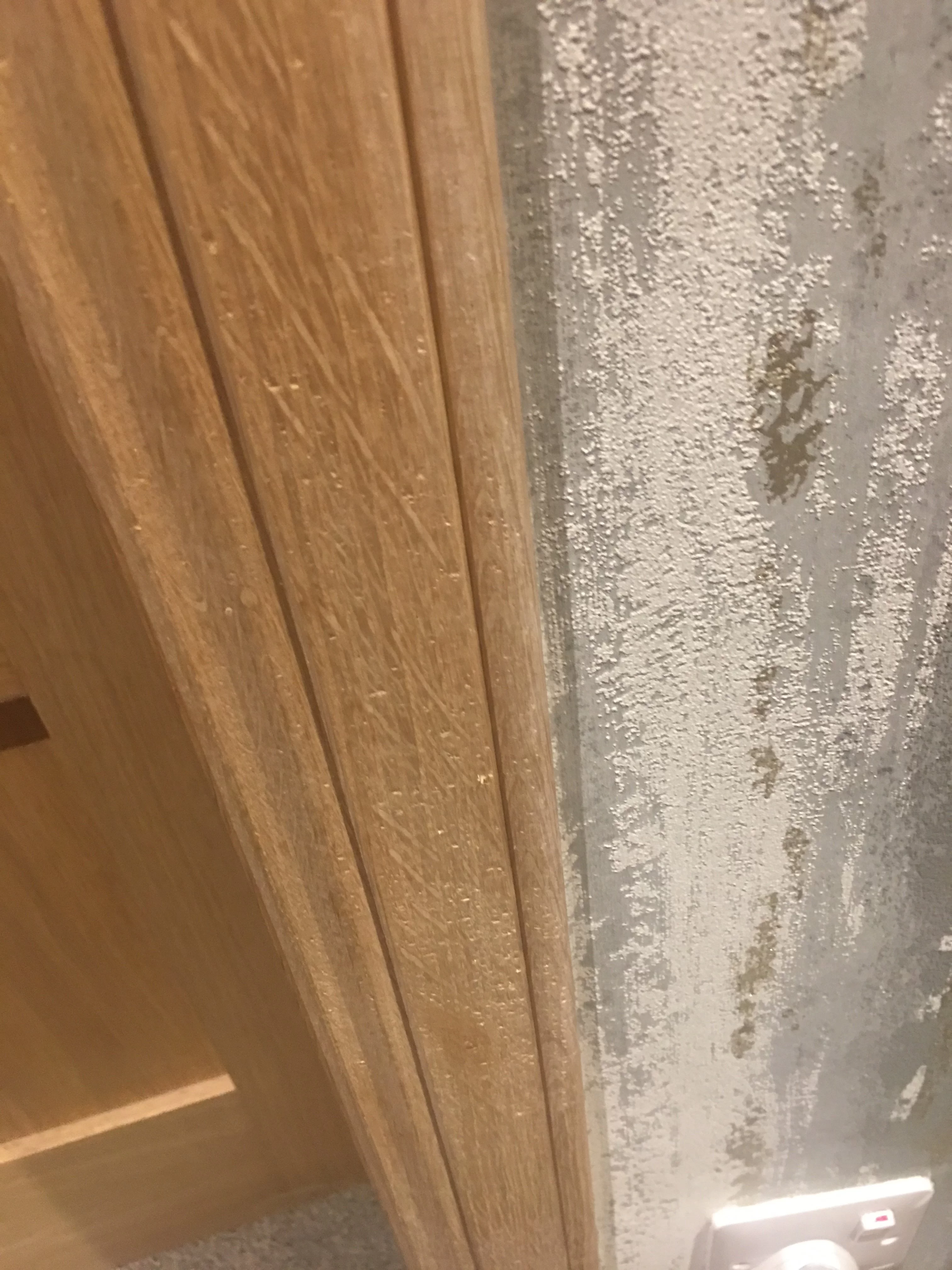 Wood Worm in Wickes Firedoors