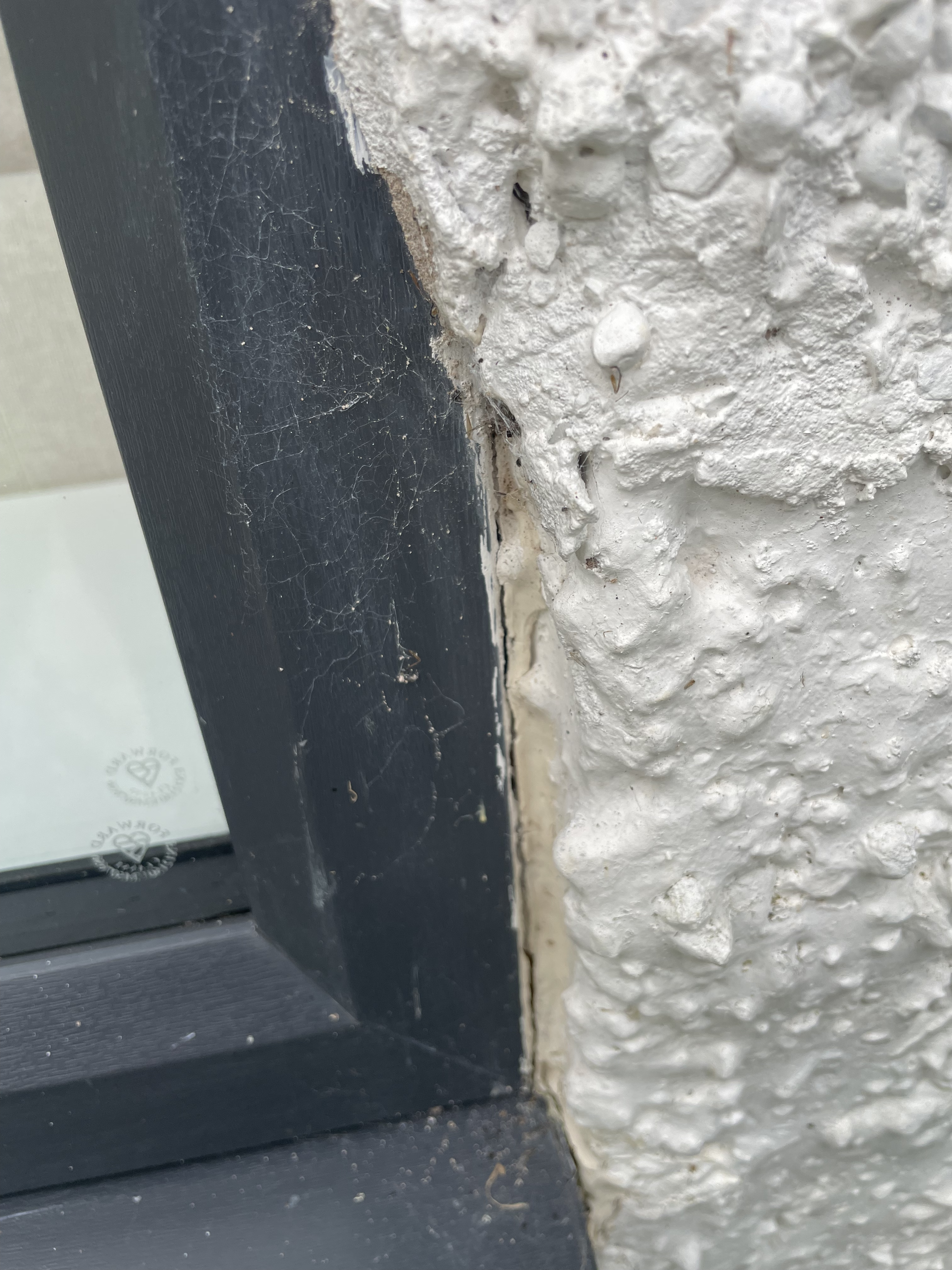 Don't look - Horror Story - Roughcast falling off around UPVC windows