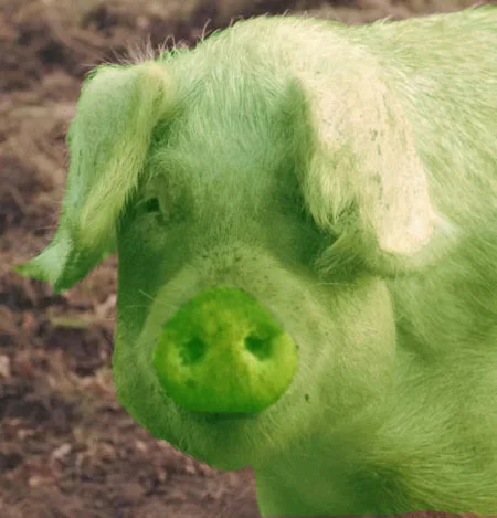 whats green and smells of pork?