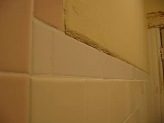 Tile to Wall transtion