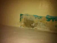 Help! Rate this plastering