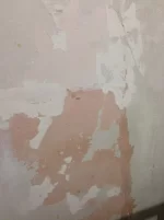 Old House internal skim - can I get some feedback