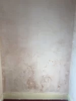 Advice on newly plastered wall