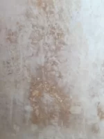 Advice on newly plastered wall