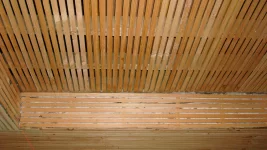 250m2 coffer ceiling all free hand in lath and lime