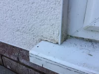 Advice please - sealing monocouche to window frames