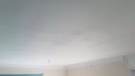 Help. Skimmed ceiling disaster