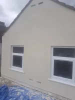 Vimark or Parex over painted render?