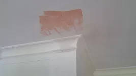 Patching cornice