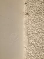 Cracks in rendering - should it be repaired? Redone?