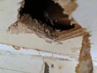 What is this? Looks like skim over ply/mdf