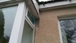 ewi disaster