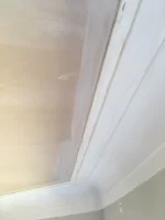 Advice Needed - Cowboy Plasterers