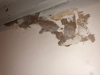 Basement Victorian Flat Damp Woes