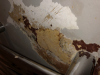 Basement Victorian Flat Damp Woes