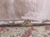 Opinion of plastering job, please