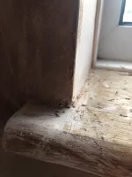 Opinion of plastering job, please