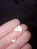 Can you help identify this plaster?