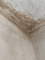 Bad plastering and plasterer refusing to fix it or even come look