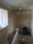 Lime Plaster - Not Gypsum Multi Finish?