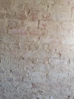 Advice for what type of plaster to use?