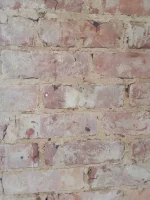 Advice for what type of plaster to use?