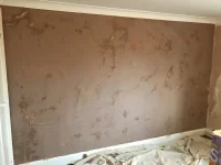 Lime Plaster - Not Gypsum Multi Finish?