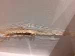 Dry Damp patches on both sides of internal wall