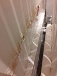 Dry Damp patches on both sides of internal wall