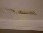 Dry Damp patches on both sides of internal wall