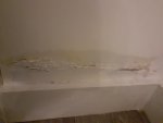 Dry Damp patches on both sides of internal wall