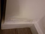 Dry Damp patches on both sides of internal wall