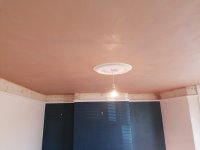 Council house ceiling help needed please