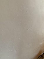 Air bubbles in lime plaster (on top of tanking)