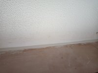 Skim over artex ceiling