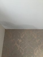 Damp in celling