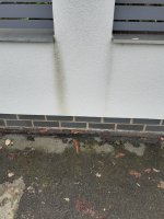 Stain on newly rendered wall