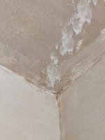 Plasterer issues, advice?