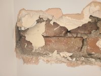 Hi all! Plaster newbie needs help