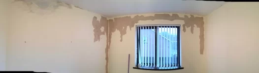 Please help! Advice on blown plaster.