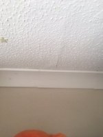Skimming over asbestos artex ceiling