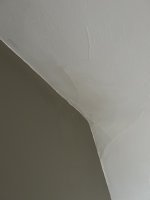 Damp on ceiling in loft bedroom conversion