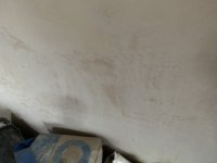 Is my plaster dry?